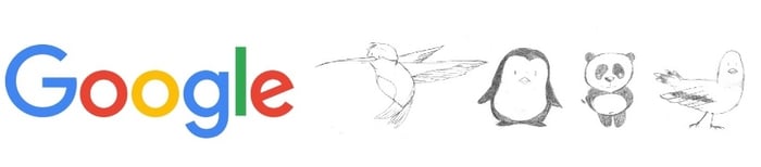 Google-panda-hummingbird-pidgeon-pinguin3.jpg